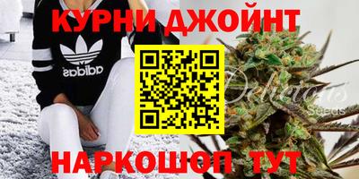 apvp Новозыбков